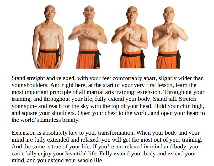 The Shaolin Workout by Shi Yan Ming PDF