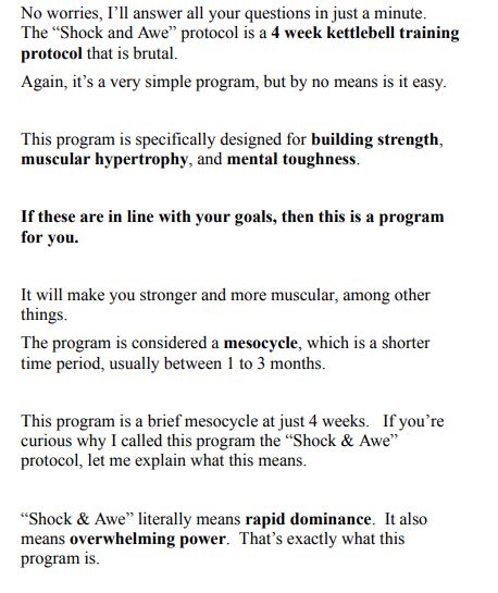 The Shock And Awe Protocol by Scott Iardella PDF
