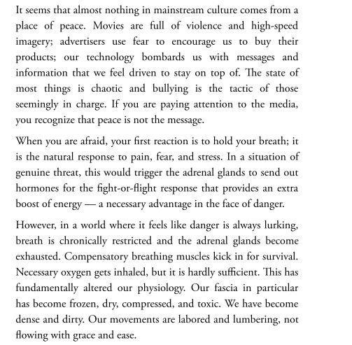 Unblock Your Body by Deanna Hansen PDF