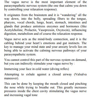 Vagus Nerve by Marcus Porges PDF