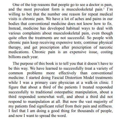 Why Does It Hurt by Todd A. Capistrant PDF