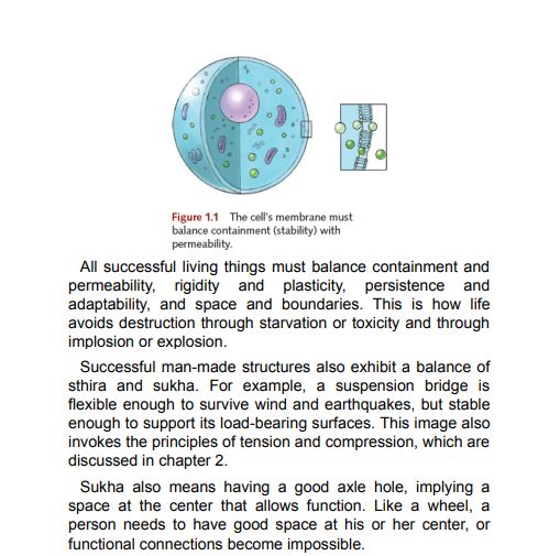 Yoga Anatomy by Leslie Kaminoff and Amy Matthews PDF