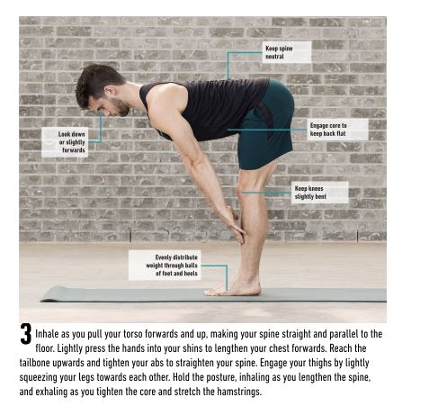 Yoga Fitness for Men by Dean Pohlman PDF