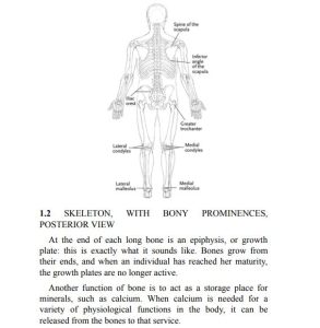 Yogabody by Judith Hanson Lasater PDF