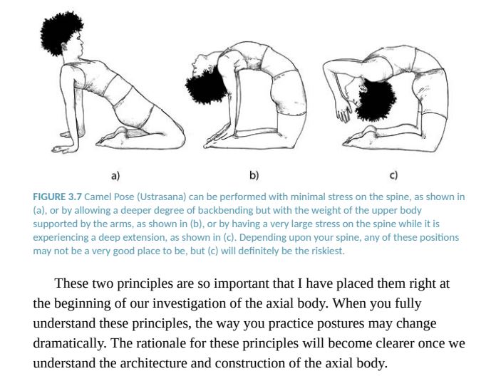 Your Spine, Your Yoga by Bernie Clark PDF