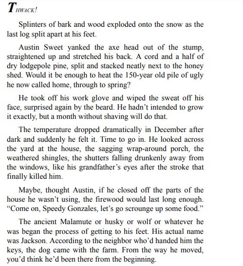 A Sweet Montana Christmas by Roxanne Snopek PDF