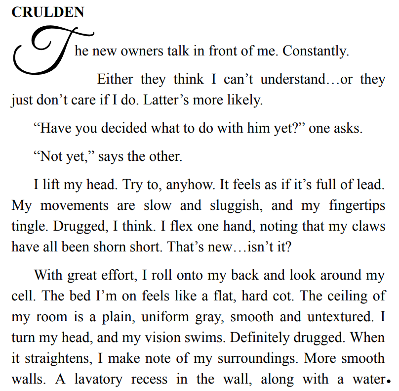 Bad Guy by Ruby Dixon 