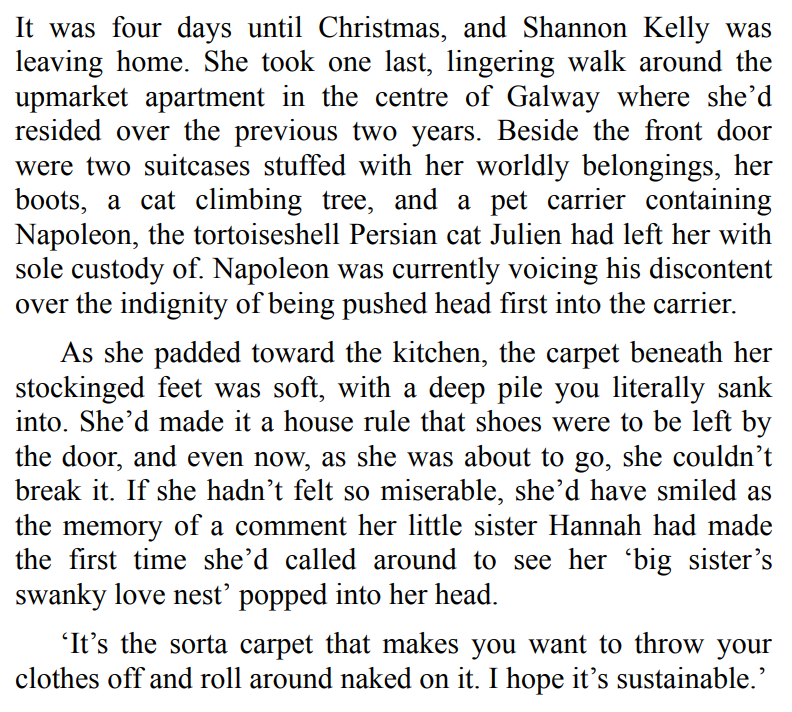 Christmas in the Little Irish Village by Michelle Vernal