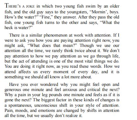 Dissolving Pain by Les Fehmi PDF