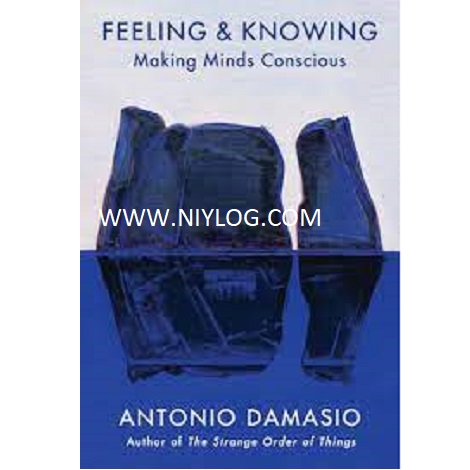 Feeling and Knowing by Antonio R. Damasio