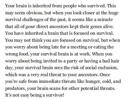 Habits of a Happy Brain by Loretta Graziano Breuning PDF