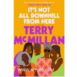 It's Not All Downhill From Here by Terry McMillan