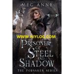 Prisoner of Steel and Shadow by Meg Anne-WWW.NIYLOG.COM