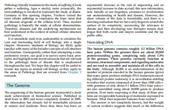 Robbins Cotran Pathologic Basis of Disease by Vinay Kumar PDF