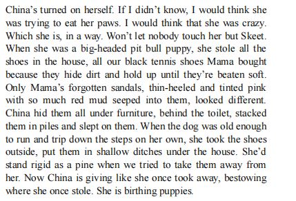 Salvage the Bones by Jesmyn Ward PDF