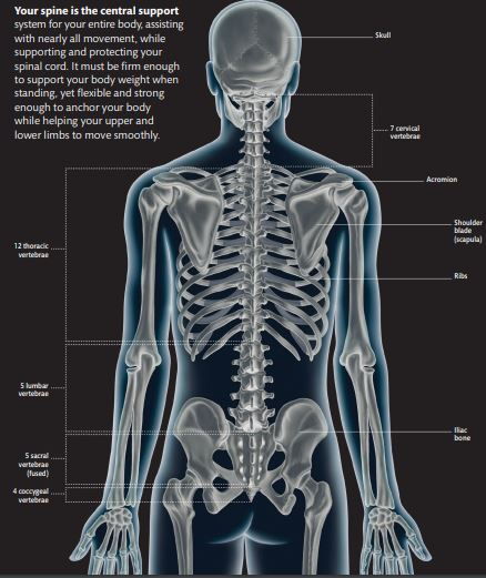 Strengthen Your Back by Dorling Kindersley PDF