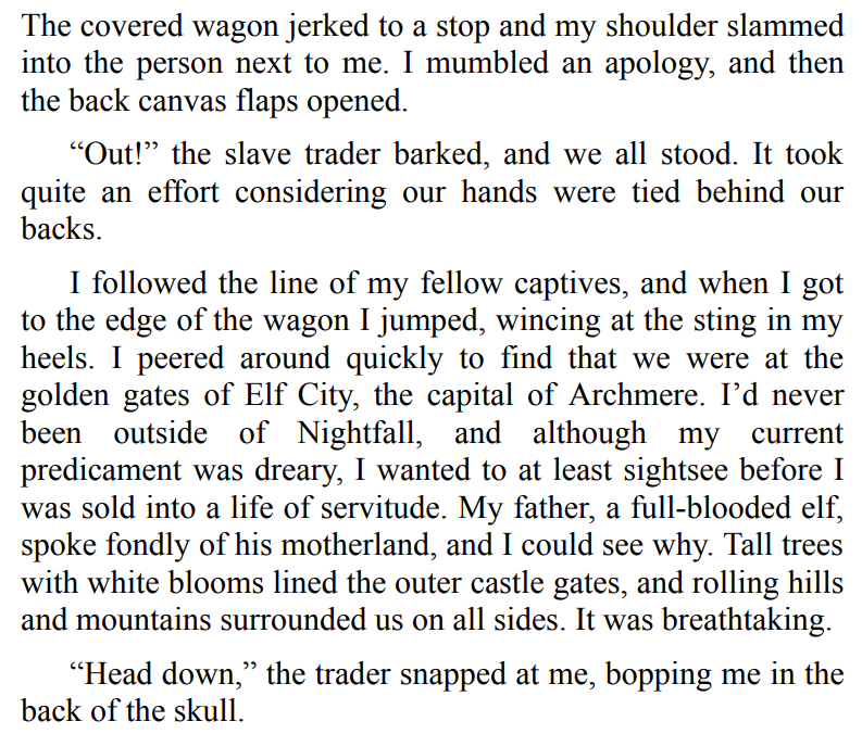 The Broken Elf King by Leia Stone 