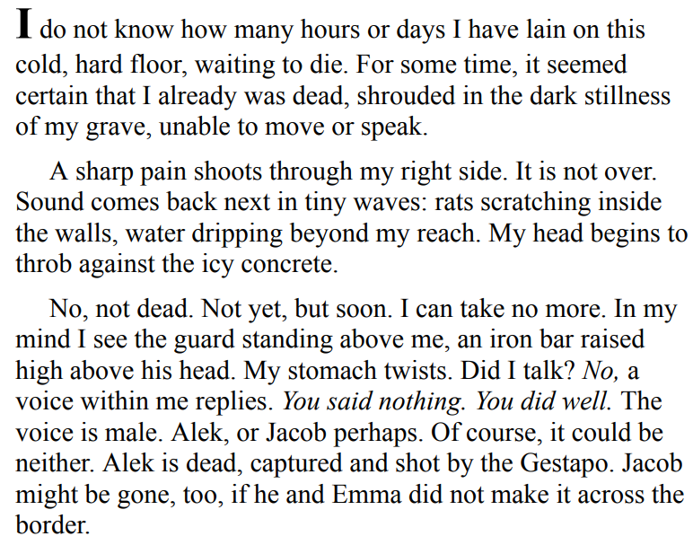 The Diplomat's Wife by Pam Jenoff 