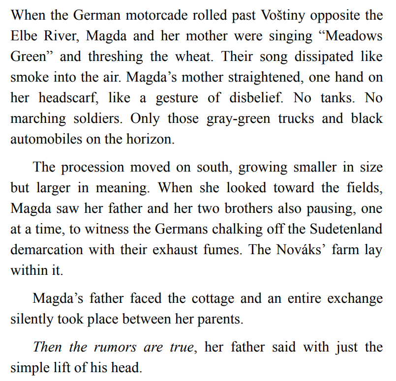 The Girl from the Mountains by Chrystyna Lucyk-Berger