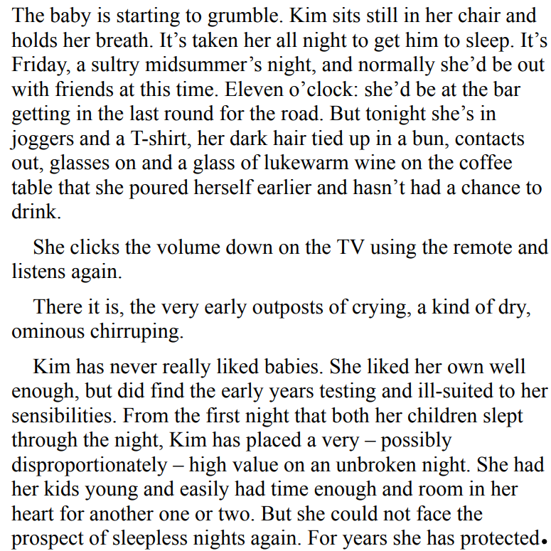 The Night She Disappeared by Lisa Jewell 