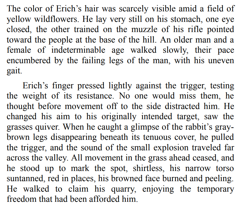 The Road Beyond Ruin by Gemma Liviero 