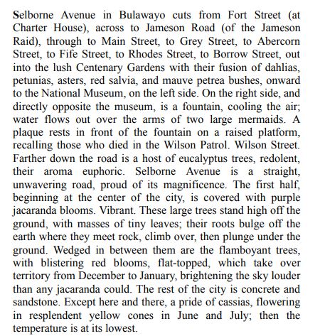 The Stone Virgins by Yvonne Vera PDF