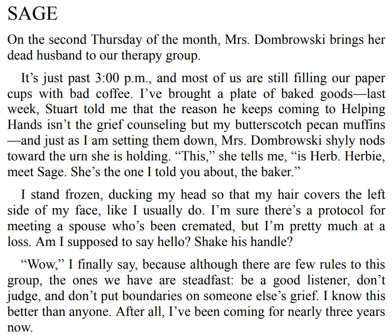 The Storyteller by Jodi Picoult 