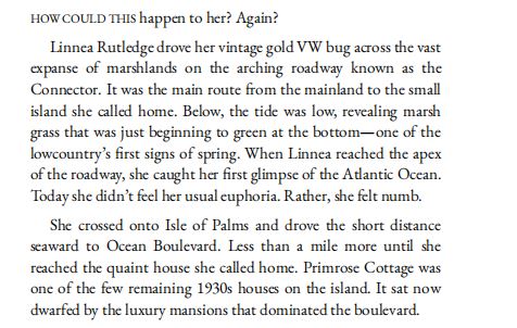 The Summer of Lost and Found by Mary Alice Monroe PDF