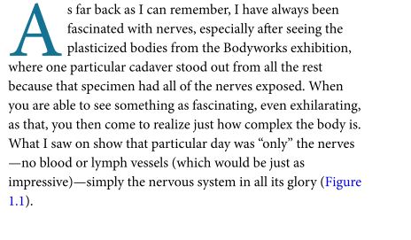 The Vital Nerves by John Gibbons PDF