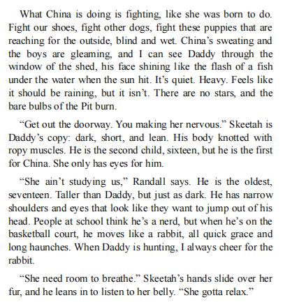 Salvage the Bones by Jesmyn Ward