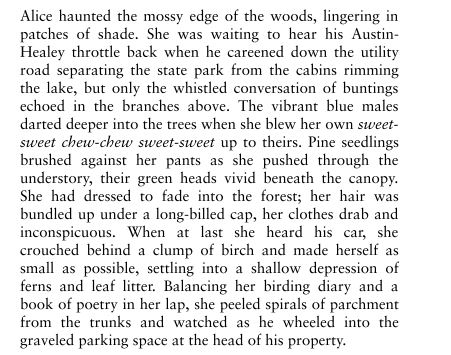 The Gravity of Birds by Tracy Guzeman