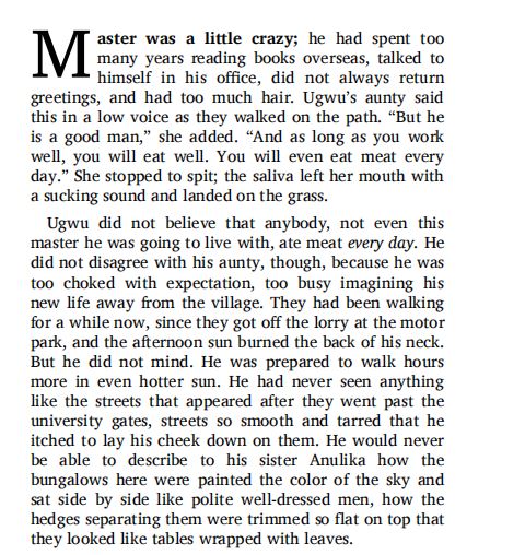 Half of a Yellow Sun by Chimamanda Ngozi Adichie