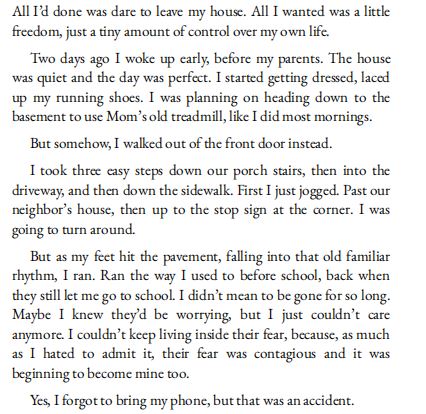 Something Like Gravity by Amber Smith