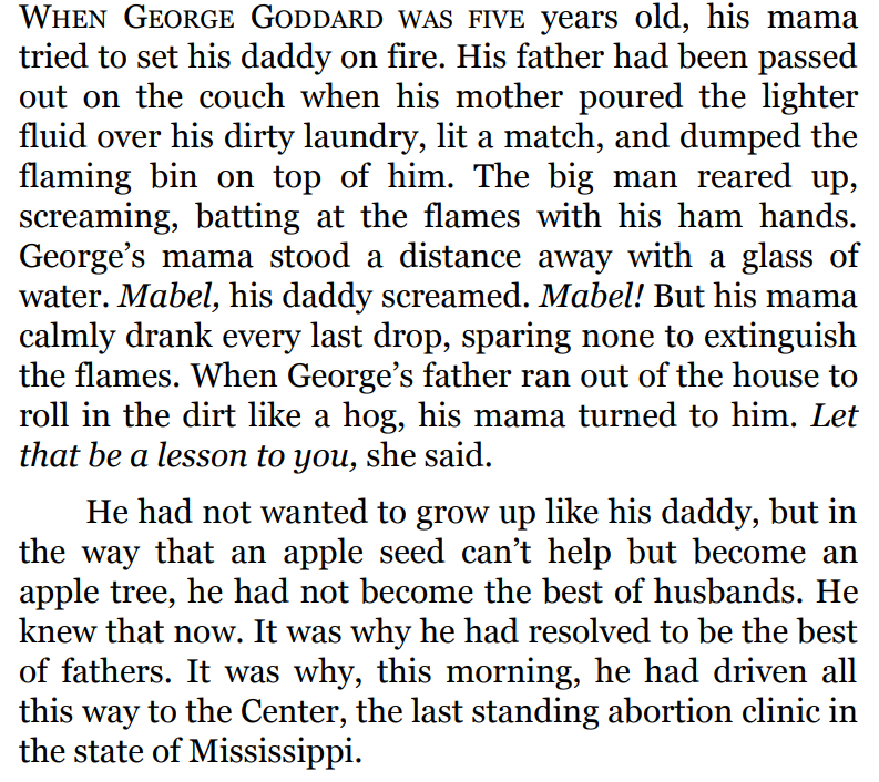 A Spark of Light by Jodi Picoult