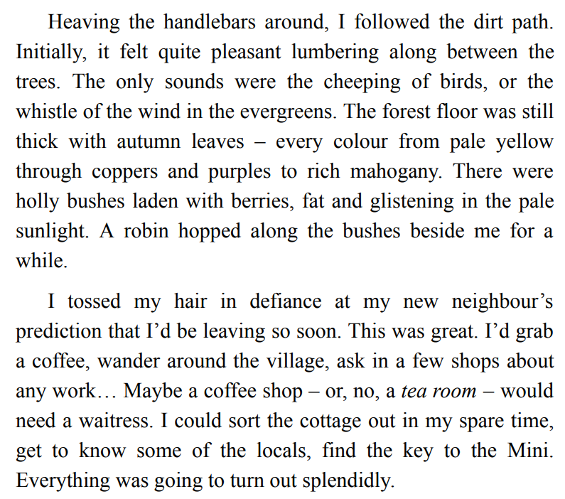 Christmas Every Day BY Beth Moran