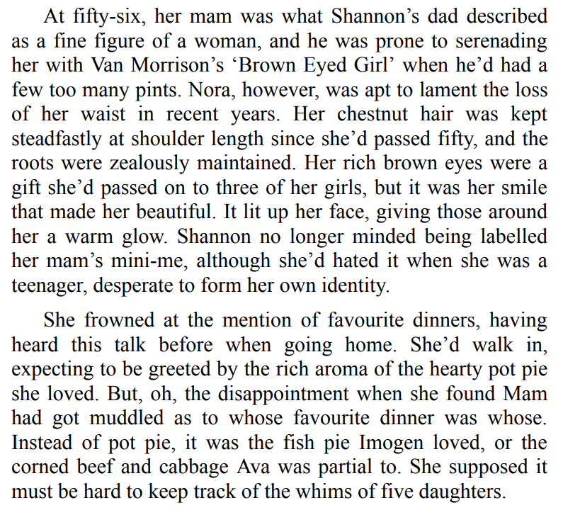 Christmas in the Little Irish Village by Michelle Vernal 