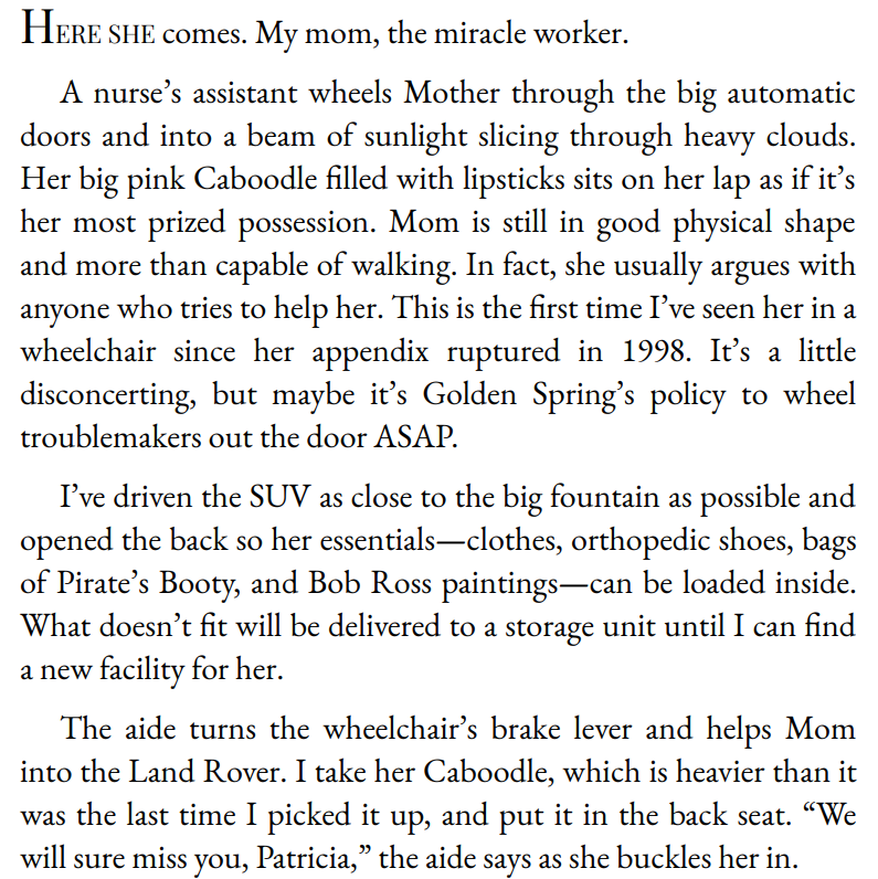 How Lulu Lost Her Mind by Rachel Gibson