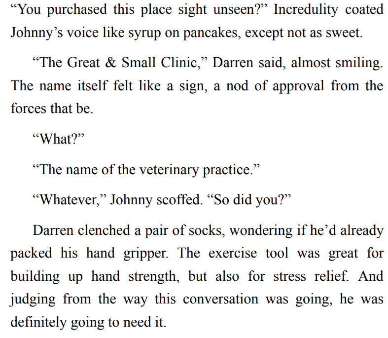 The Christmas Camel by Vered Ehsani 