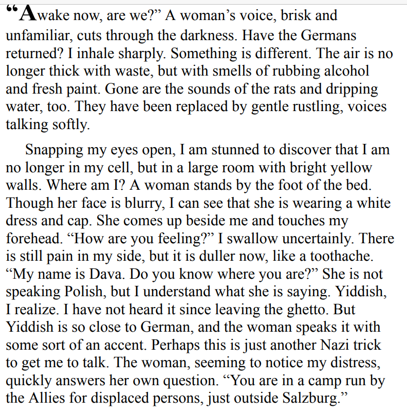 The Diplomat's Wife by Pam Jenoff 