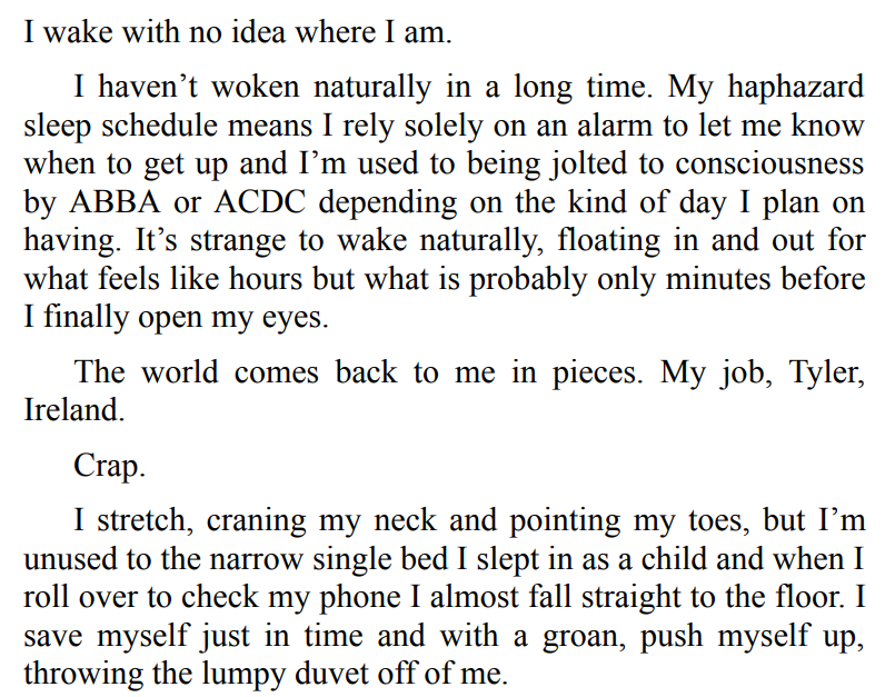 The Rebound by Catherine Walsh 