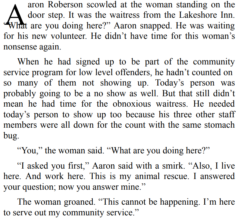 The Road Home by Morris Fenris