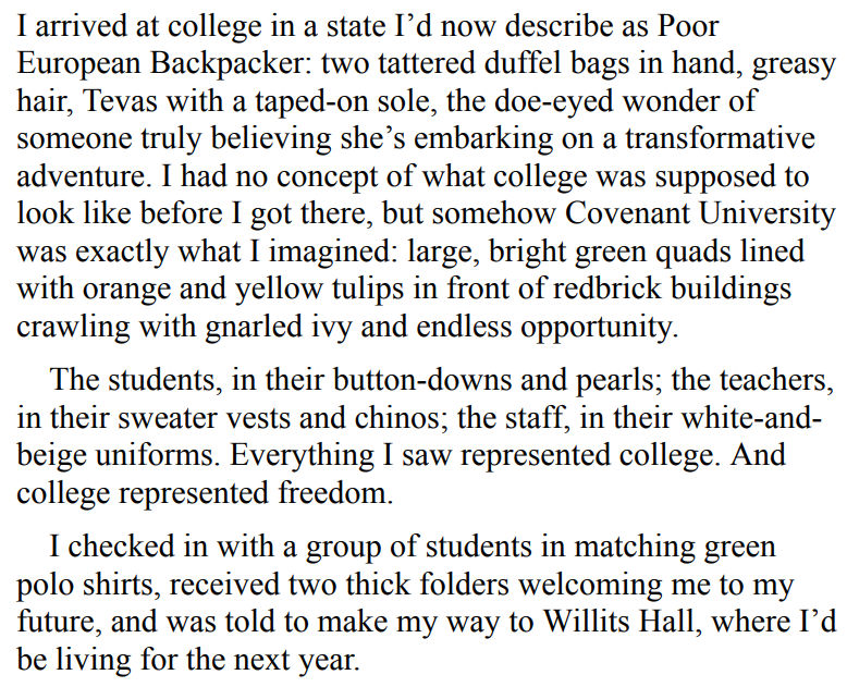 The Social Climber by Amanda Pellegrino 