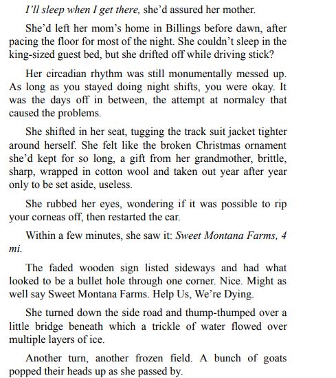 A Sweet Montana Christmas by Roxanne Snopek PDF