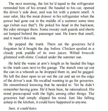 Download the After the Lights Go Out PDF novel for free. After the Lights Go Out is an absolute page-turner from page one.