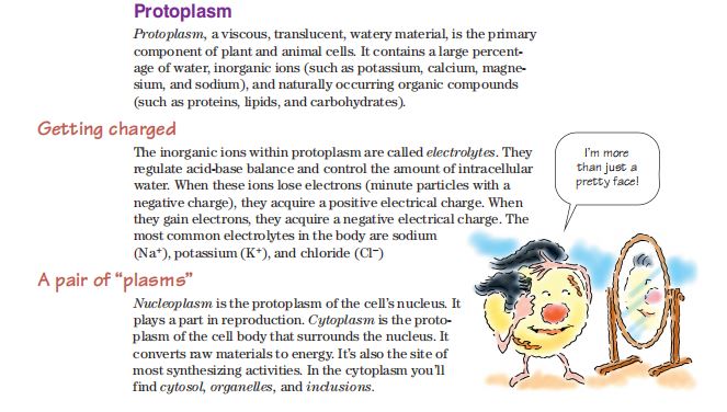 Anatomy & Physiology Made Incredibly Easy by Lippincott Williams & Wilkins PDF
