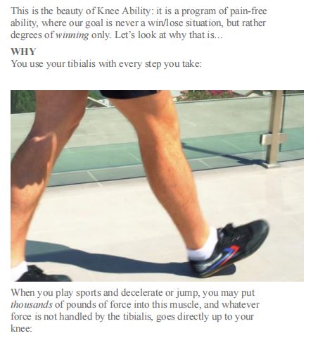 Knee Ability Zero by Ben Patrick PDF