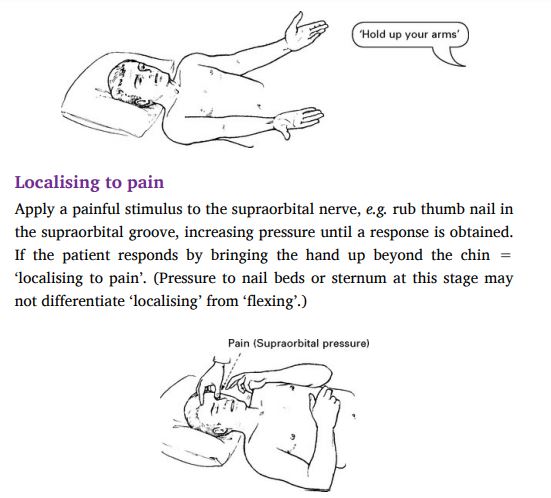 Neurology and Neurosurgery Illustrated by Kenneth W. Lindsay & Ian Bone & Geraint Fuller & Robin Callander. PDF