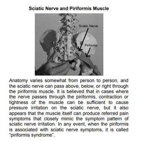 Sciatica Exercises & Home Treatment by Dr. George Best PDF