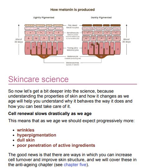 Skin Revolution by Dr Vanita Rattan PDF