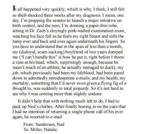 The Department of Lost and Found by Allison Winn Scotch PDF